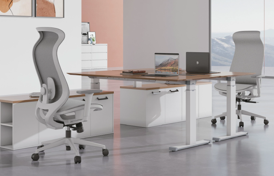 專業人體工學辦公椅 & 電腦椅 - 香港選購 | Brilliant SPACE