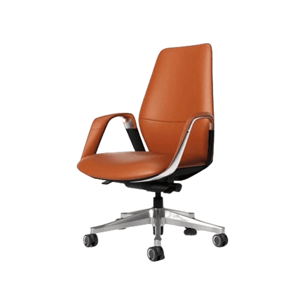 BSJ-H203DP 高級半真皮配扶手客椅 - Brilliant Space Office Furniture Limited