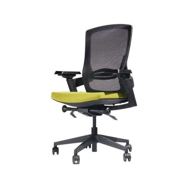 BSJ-MAMB 高級職員椅 - Brilliant Space Office Furniture Limited