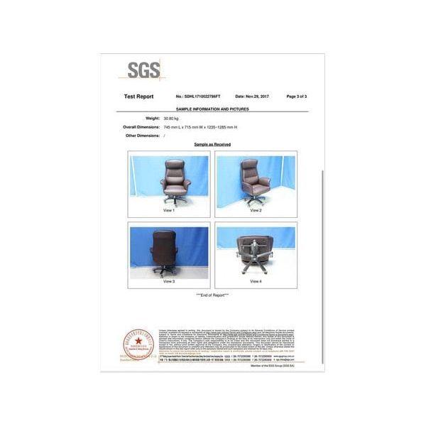 BSJ-DYKE 大型大班椅半真皮配扶手 - Brilliant Space Office Furniture Limited