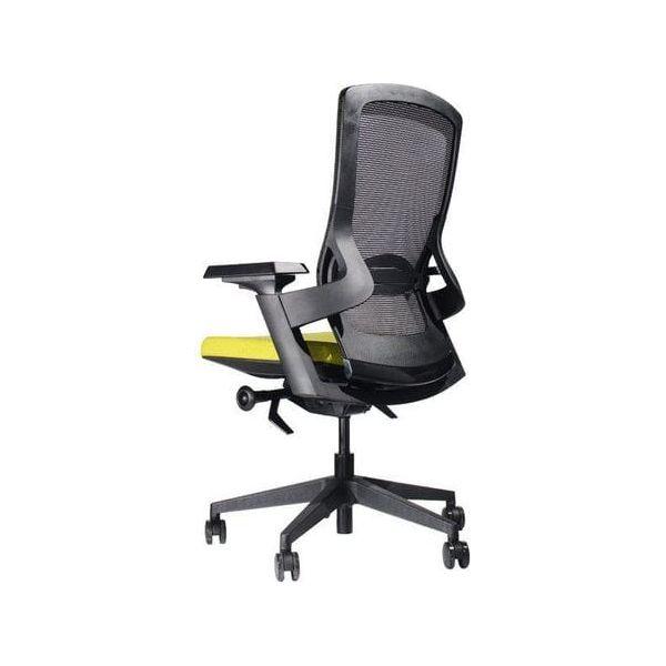 BSJ-MAMB 高級職員椅 - Brilliant Space Office Furniture Limited