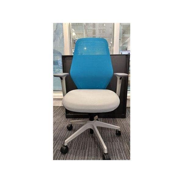 BSJ-M62257 職員網背椅 - Brilliant Space Office Furniture Limited