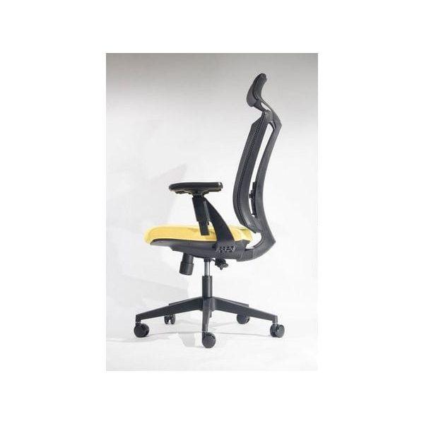 BSC-1263A 行政座椅連頭枕 - Brilliant Space Office Furniture Limited