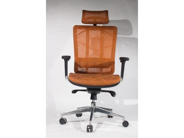 BSJ-02808 行政網椅配3D升降扶手連頭枕