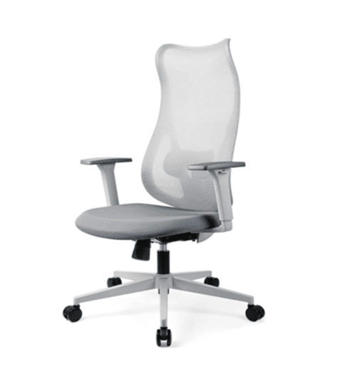 BSJ-62235 型格高背職員網背椅 - Brilliant Space Office Furniture Limited