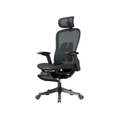 Executive Chair (Brilliant Space)