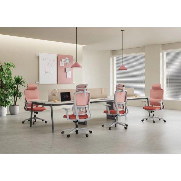 BSJ-3203A 職員網背椅連頭枕 - Brilliant Space Office Furniture Limited