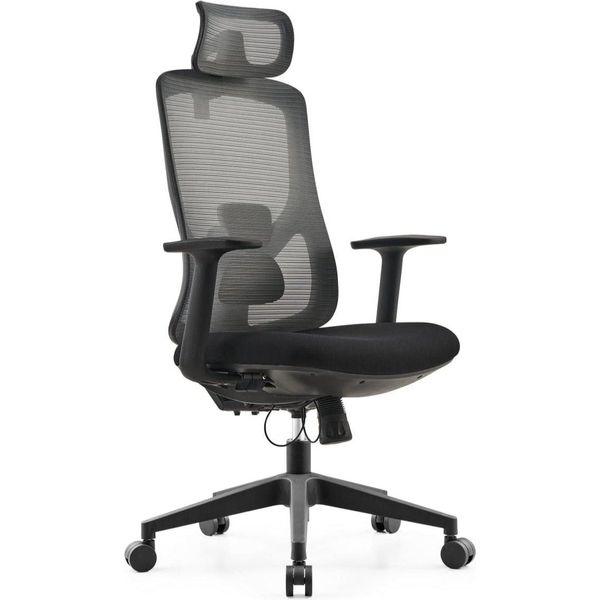 Executive Chair (Brilliant Space)