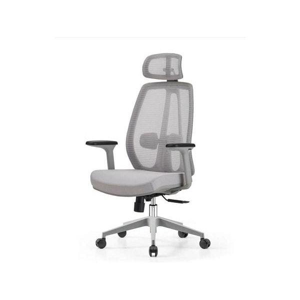 Executive Chair (Brilliant Space)