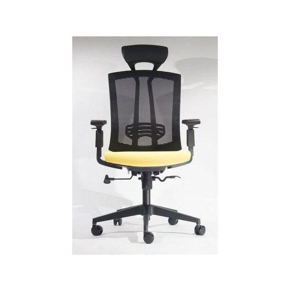 BSC-1263A 行政座椅連頭枕 - Brilliant Space Office Furniture Limited