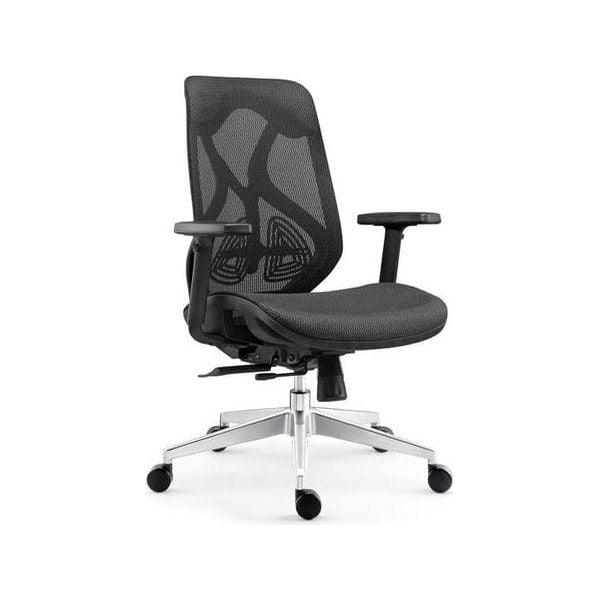 Executive Chair (Brilliant Space)