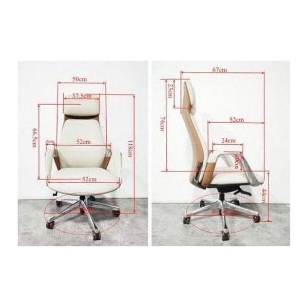 BSJ-H203DP 大班椅高背全真皮配扶手 - Brilliant Space Office Furniture Limited