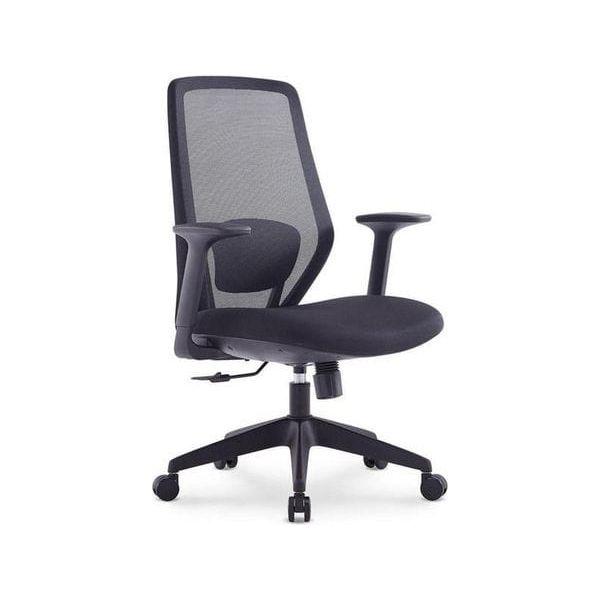 BSJ-72206-DP 行政網椅配升降扶手/頭枕 - Brilliant Space Office Furniture Limited