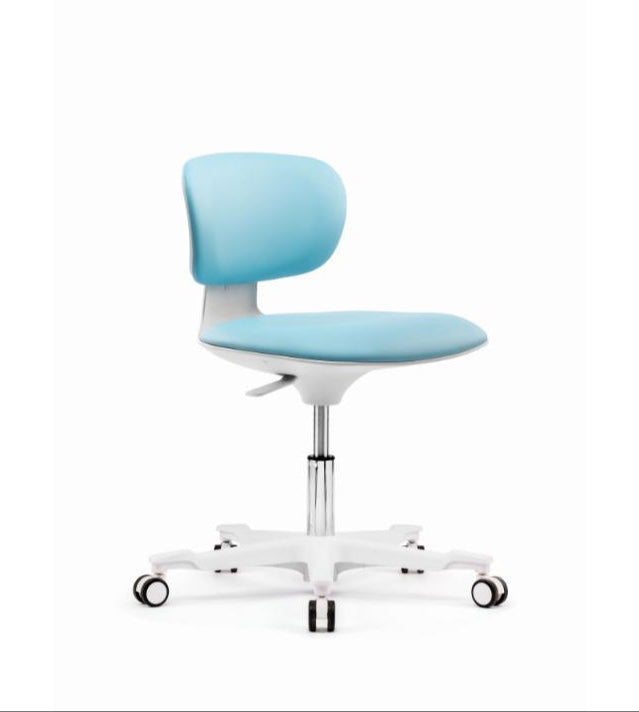 BSJ-Q-120 Mini Chair &nbsp;工作椅