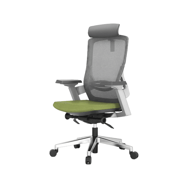 Executive Chair (Brilliant Space)