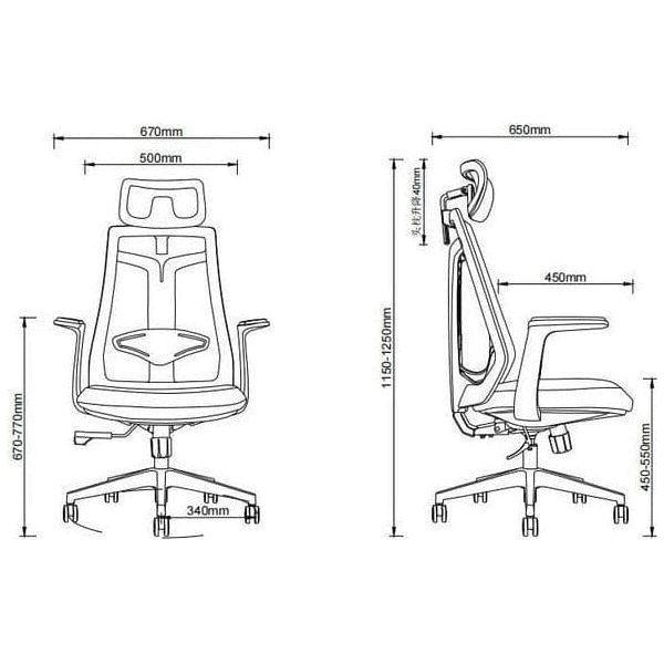 BSJ-62230A Tesla 高背職員椅連頭枕 - Brilliant Space Office Furniture Limited