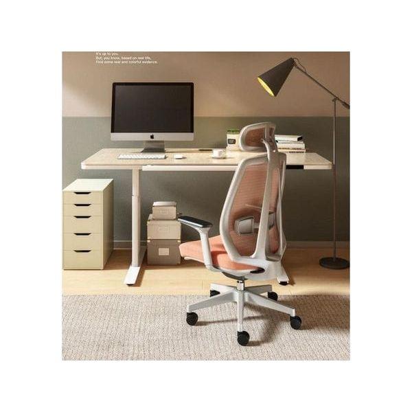 Executive Chair (Brilliant Space)