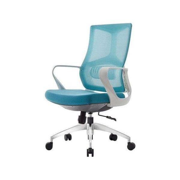 BSJ-B625 網背椅(厚坐墊)~厚坐墊,坐感舒適,推介 - Brilliant Space Office Furniture Limited