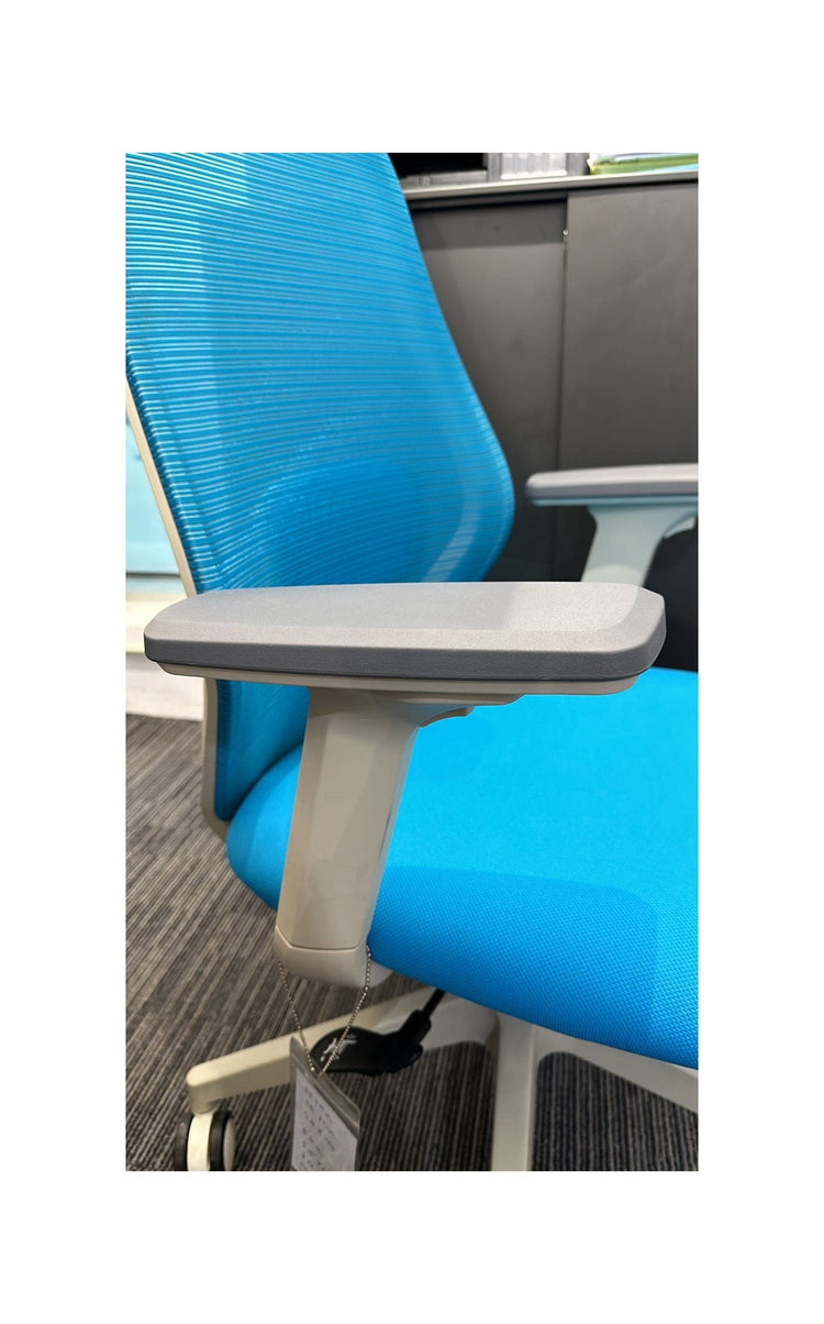 BSJ-CY22911 經濟網背椅連頭枕😍 - Brilliant Space Office Furniture Limited
