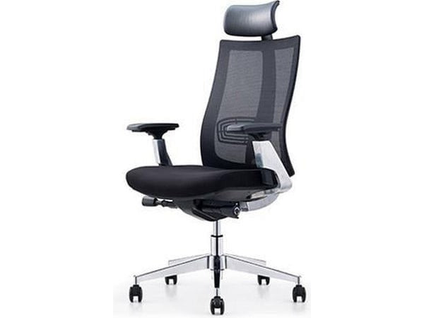 Executive Chair (Brilliant Space)