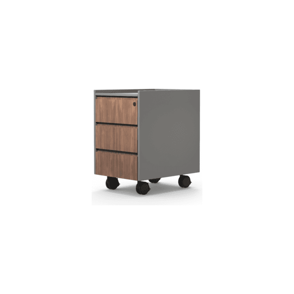 BSG-073 Executive Desk 大班木皮檯 - Brilliant Space Office Furniture Limited