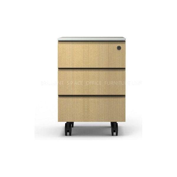 BSG-075 Wood Veneer Cabinet 木皮櫃 - Brilliant Space Office Furniture Limited
