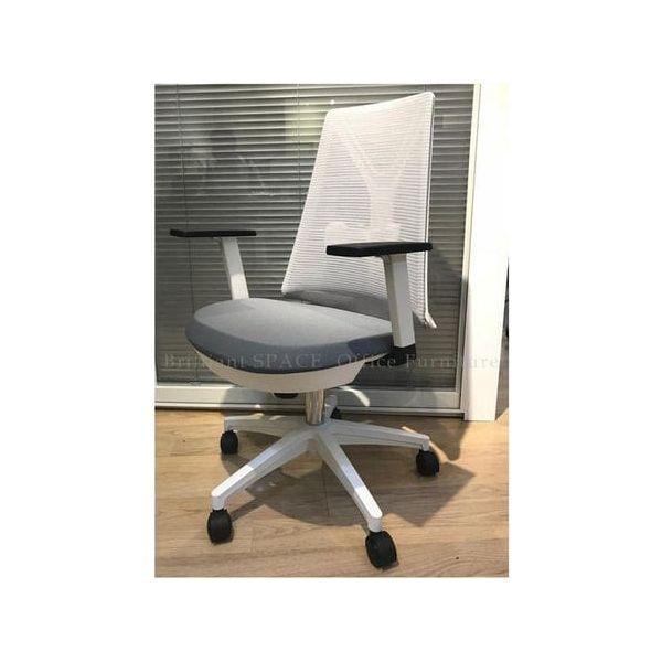 BSJ-M62235 高級網椅配升降扶手 - Brilliant Space Office Furniture Limited